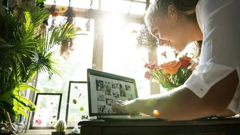 plugins para el desarrollo tienda online wordpress